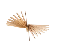 ATELIER LOUPIOTE Applique Albatros