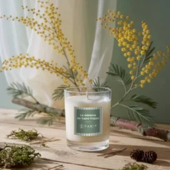 Bougie parfumée Le mimosa de Saint-Trojan