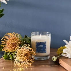 Bougie parfumée L'esprit mandarin