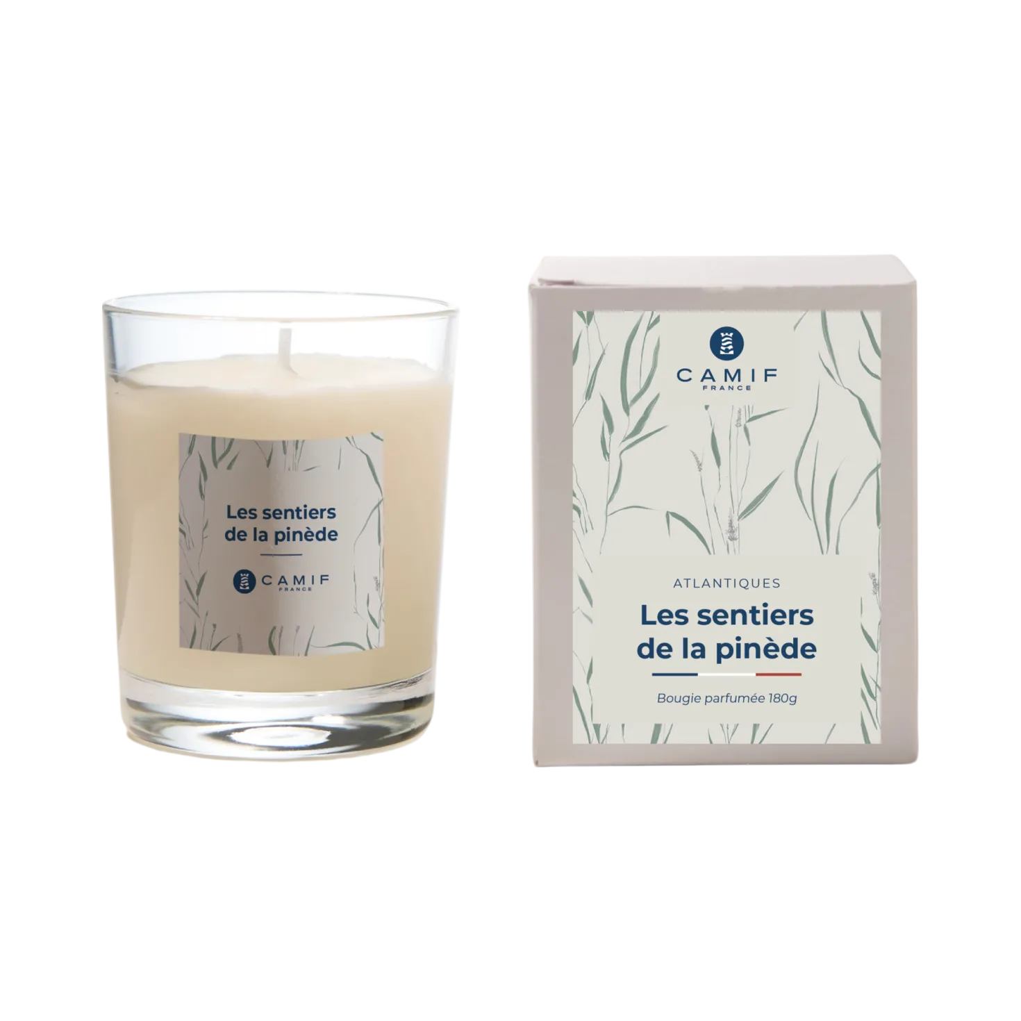 Bougie parfumée Les sentiers de la pinède