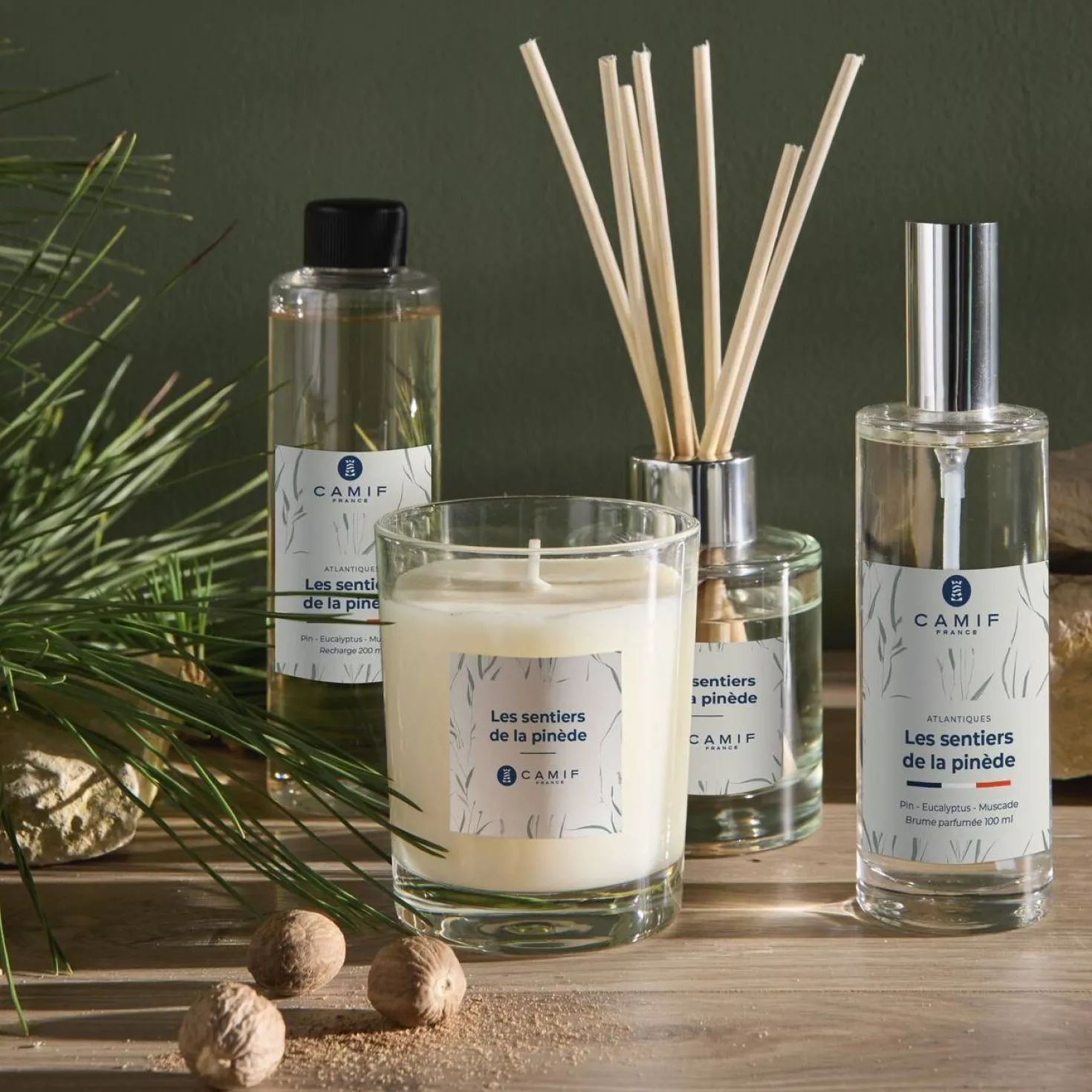 Bougie parfumée Les sentiers de la pinède