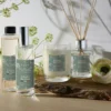 Bougie parfumée À l'ombre des tilleuls