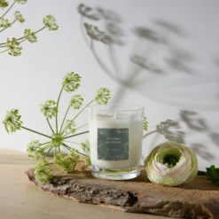 Bougie parfumée À l'ombre des tilleuls