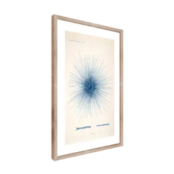 CM CREATION Tableau Planche oursin 50 x 70 cm