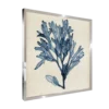 CM CREATION Tableau WAG Under algue H 40 x 40 cm