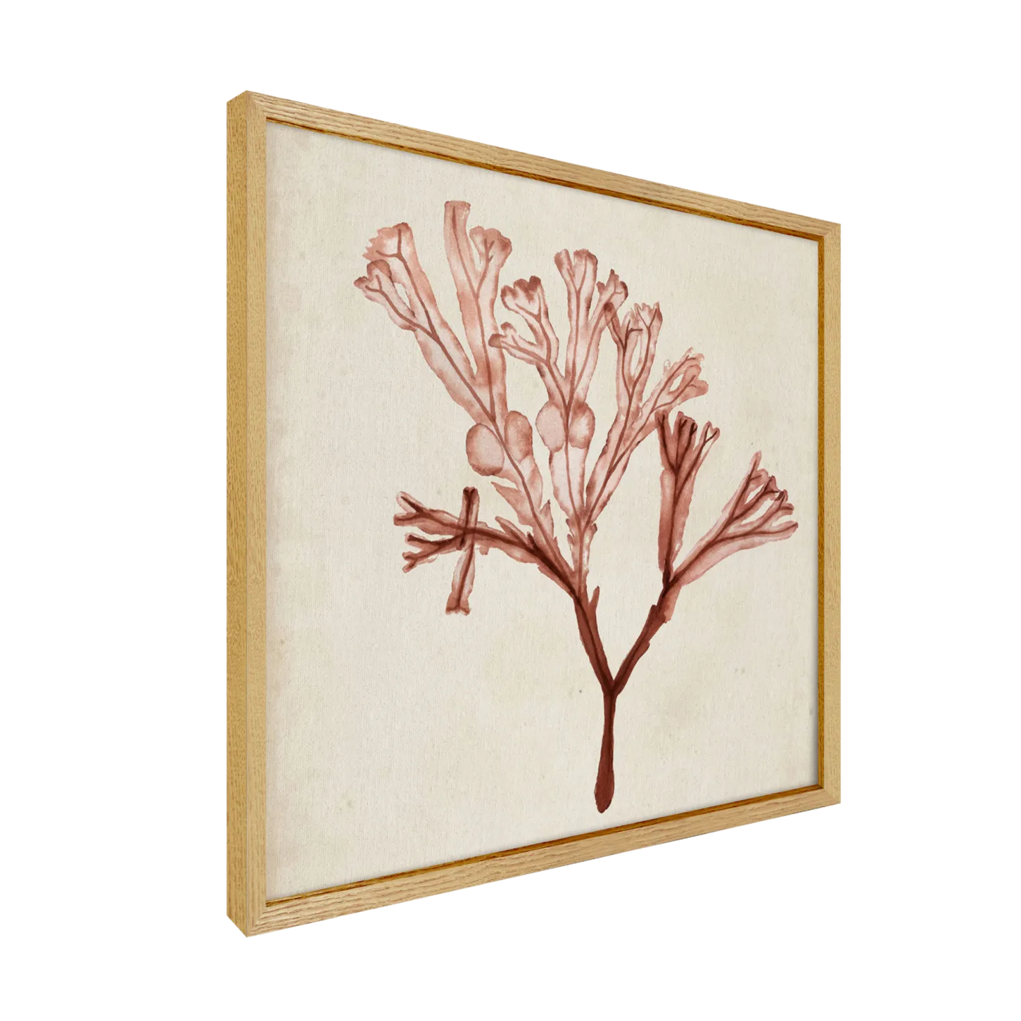 CM CREATION Tableau WAG Under algue C 40 x 40 cm