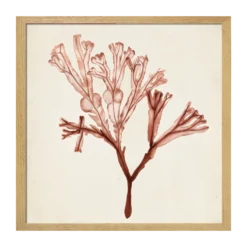 CM CREATION Tableau WAG Under algue C 40 x 40 cm