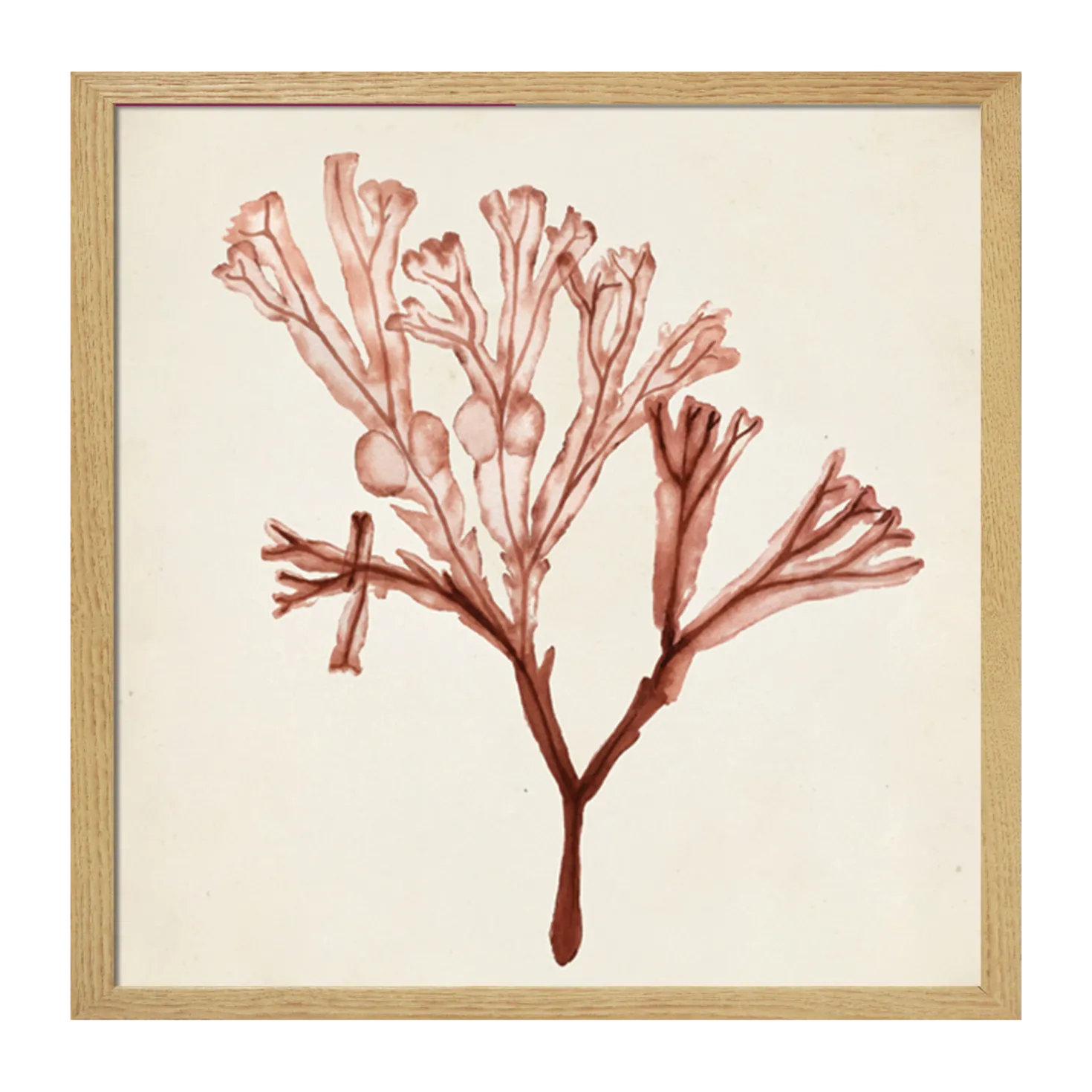CM CREATION Tableau WAG Under algue C 40 x 40 cm