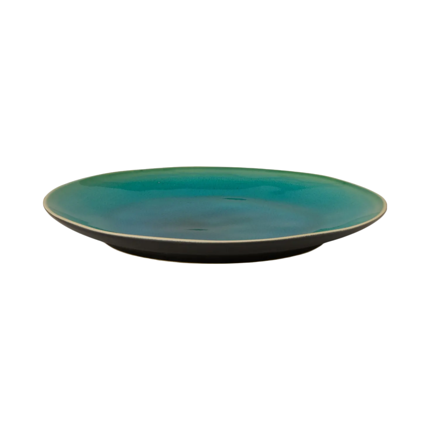 COSTA NOVA Lot de 6 assiettes plates D27cm Riviera