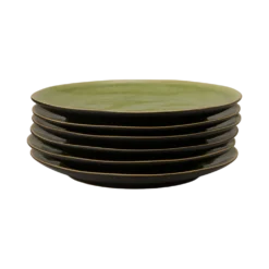 COSTA NOVA Lot de 6 assiettes plates D27cm Riviera