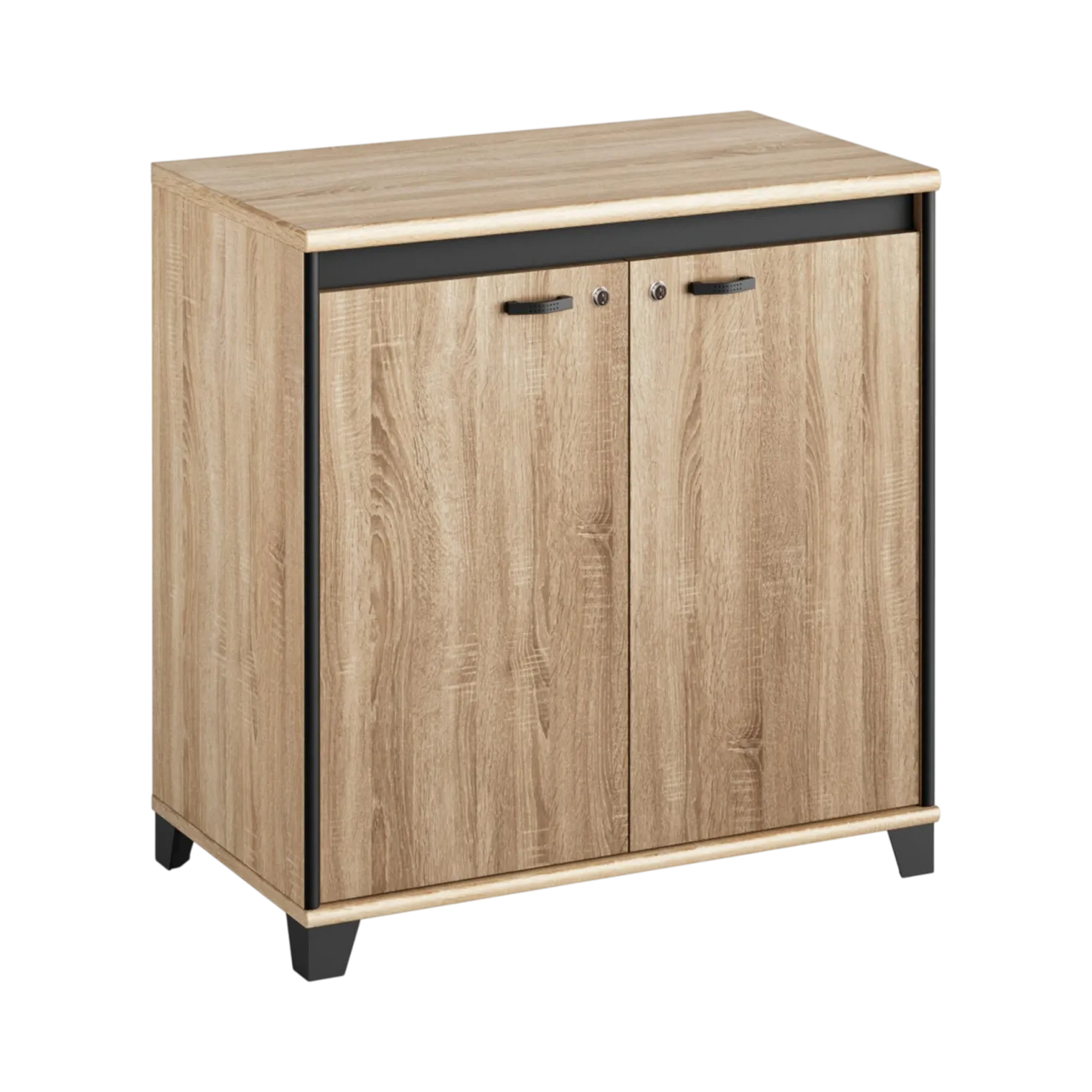 C.PRO PAR CAMIF Rangement 2 portes Gregory