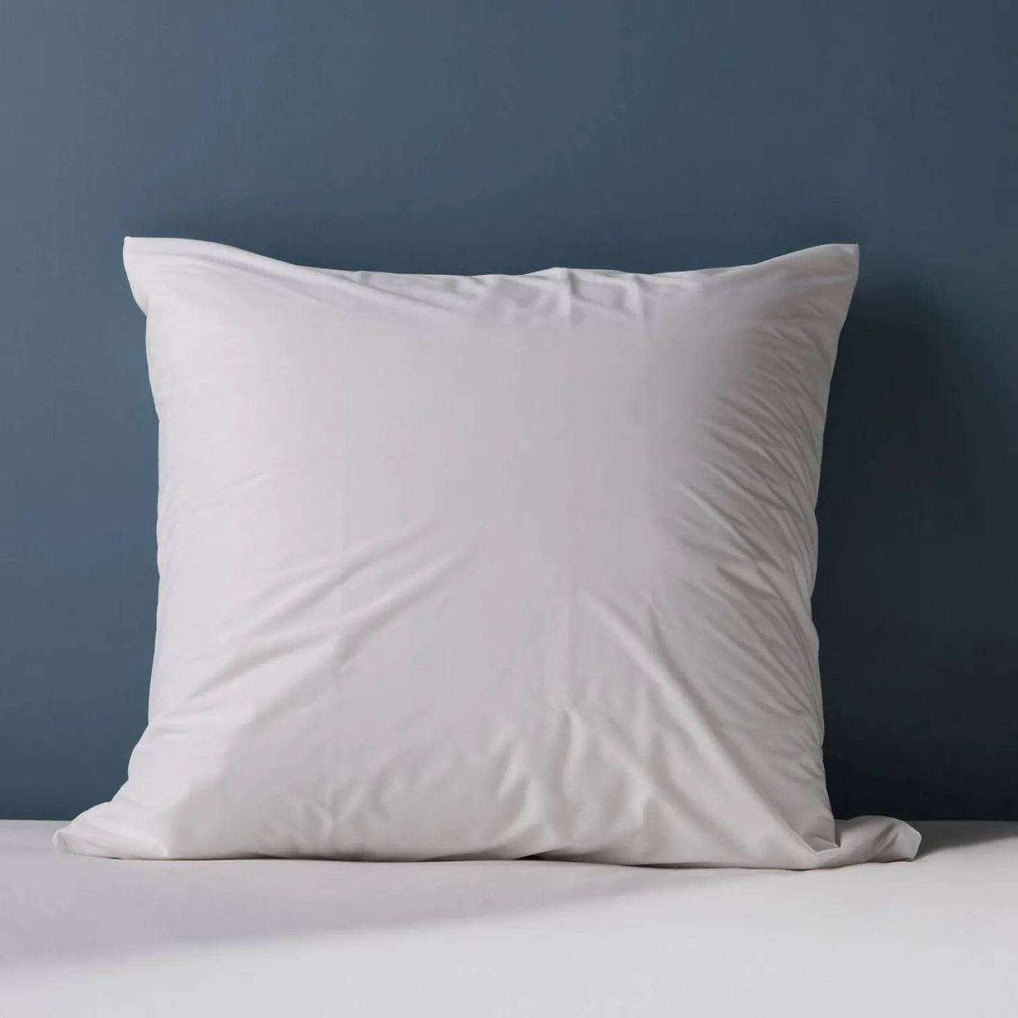 Housse d'oreiller anti-punaise de lit Isis