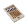 JEAN DUBOST Petite cuillère Laguiole 6 pièces