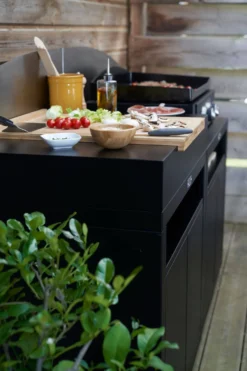 LE MARQUIER Cuisine d'Extérieur 2 Éléments avec Crédence en Acier Noir