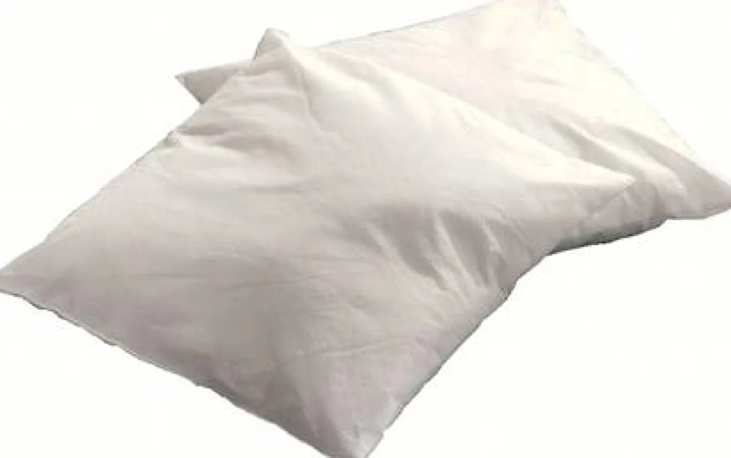 Lot de 2 coussins de garnissage carrés
