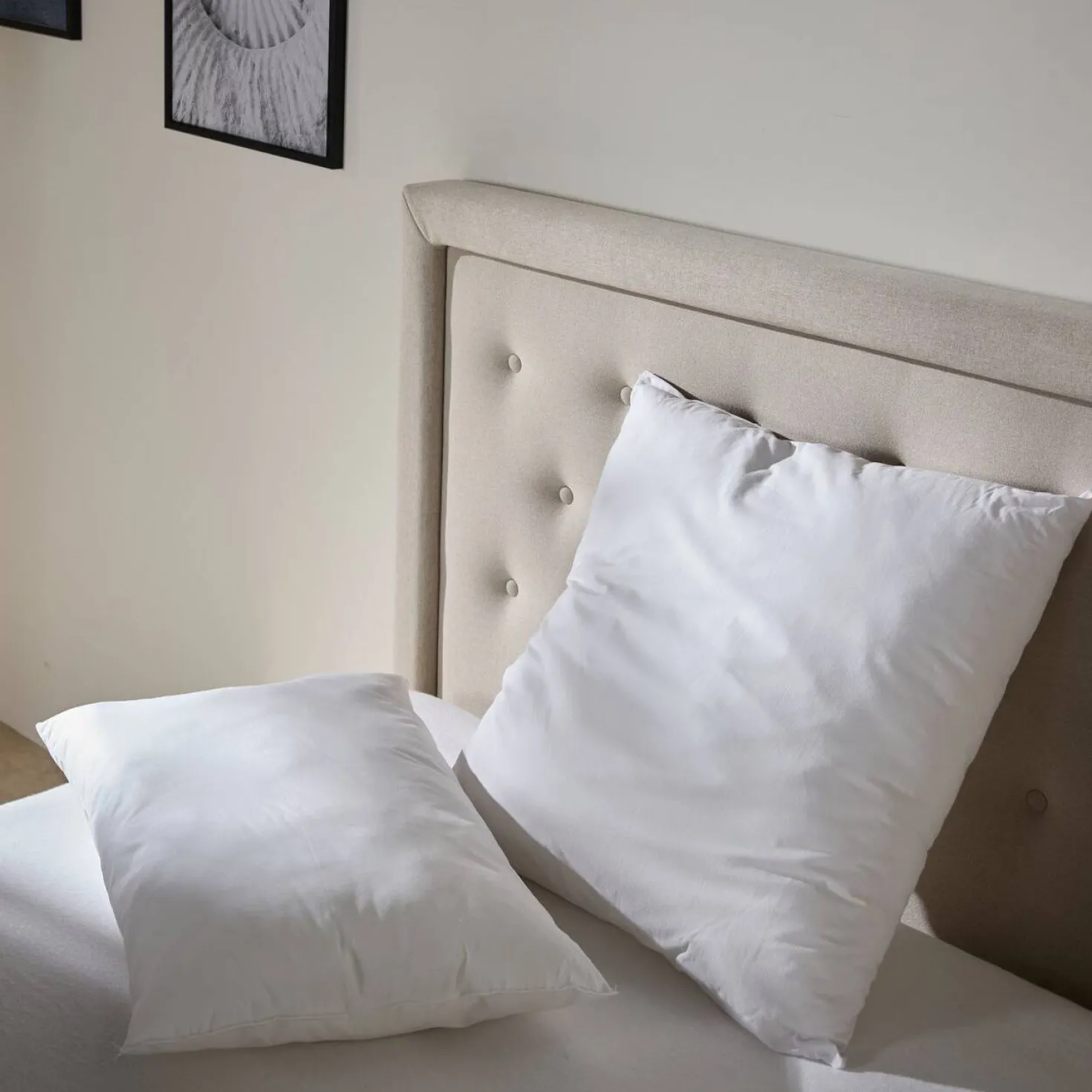 Lot de 2 oreillers coton souples Leny