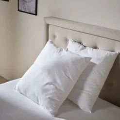 Lot de 2 oreillers coton souples Leny