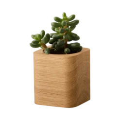 OAKYWOOD Pot à crayons cubique bois massif