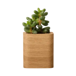 OAKYWOOD Pot à crayons cubique bois massif