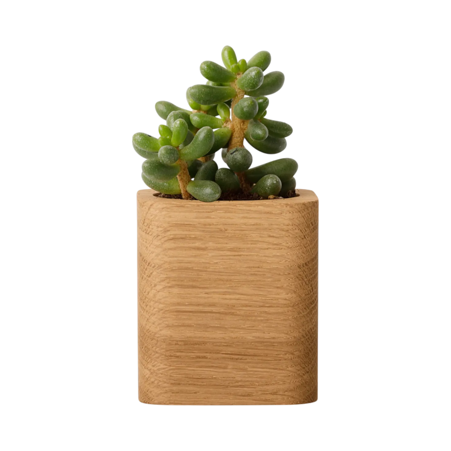 OAKYWOOD Pot à crayons cubique bois massif