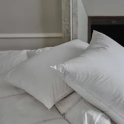 Oreiller moelleux 70%duvet de canard et enveloppe coton percale Carla