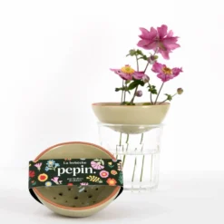 PEPIN Bobèche Fleurs - Vert sauge