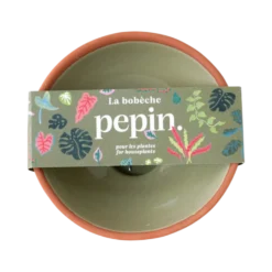 PEPIN Bobèche Plantes - Vert sauge
