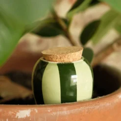 PEPIN Olla - Rayé vert et vert