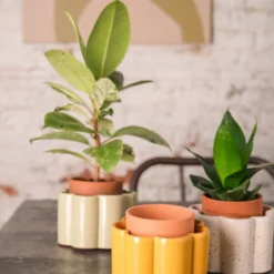 PEPIN Pot autonome Paulita- Jaune moutarde