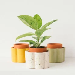 PEPIN Pot autonome Paulita- Jaune moutarde