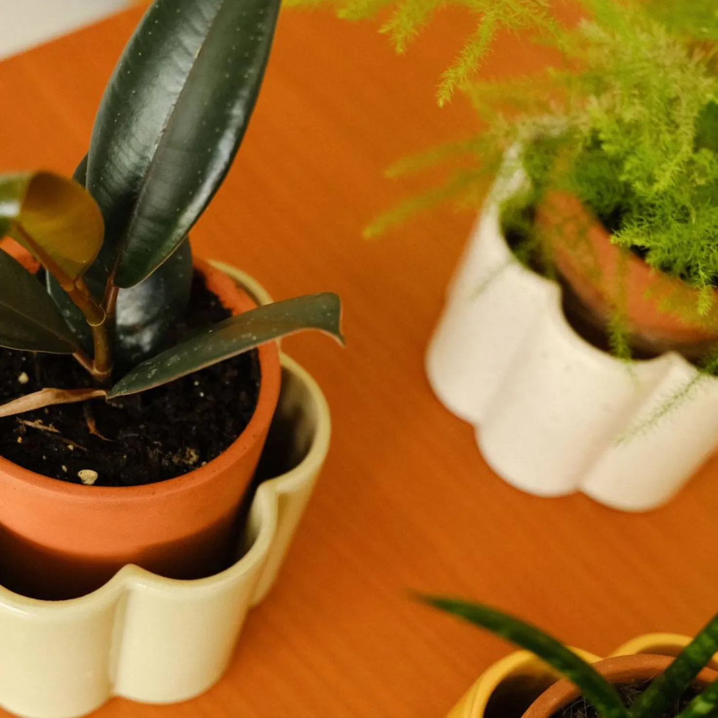 PEPIN Pot autonome Paulita - Vert sauge
