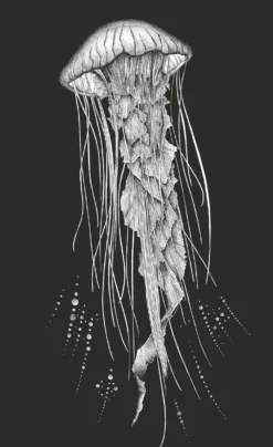 Tableau Méduse fond noir impression papier lin 30 x 50 cm BY THE INK©