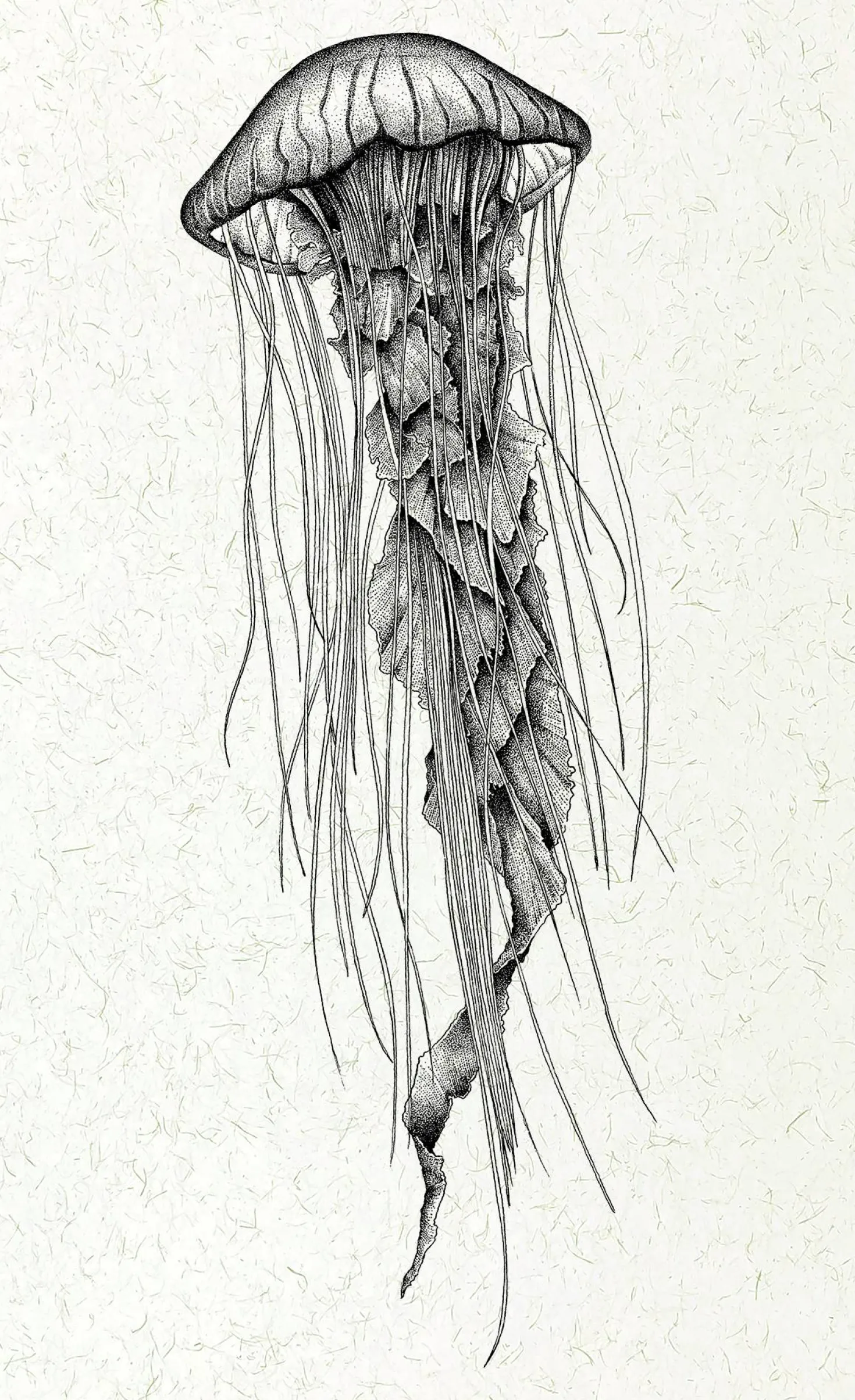 Tableau Méduse impression papier lin 30 x 50 cm BY THE INK©