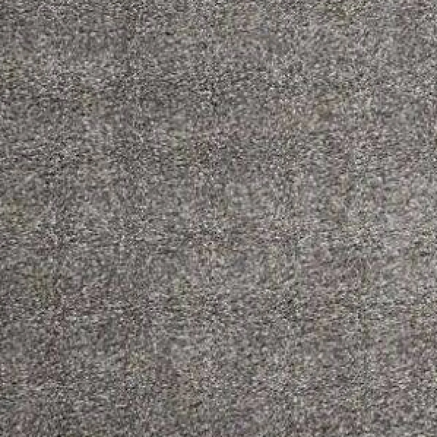 Tapis Octavia